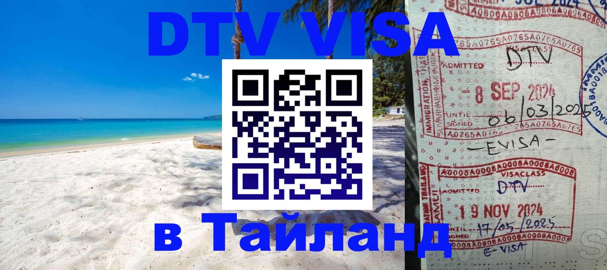 Сколько стоит DTV виза — актуальные цены, оформление даже без документов - Сызрань 